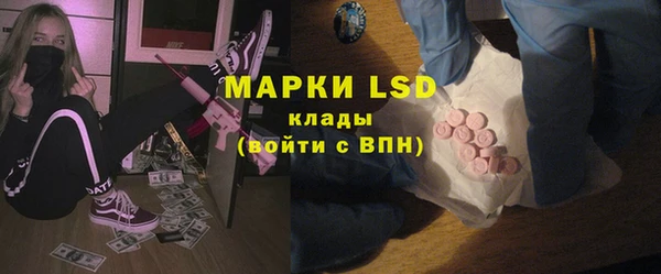 ПСИЛОЦИБИНОВЫЕ ГРИБЫ Абаза