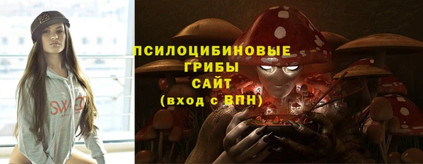 ПСИЛОЦИБИНОВЫЕ ГРИБЫ Абаза
