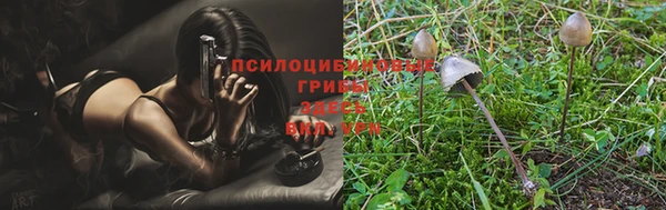 ПСИЛОЦИБИНОВЫЕ ГРИБЫ Абаза